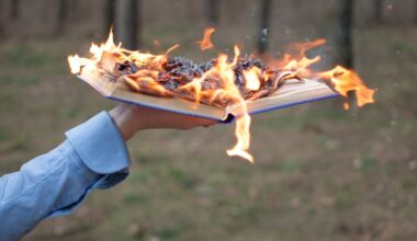 Livre Feu