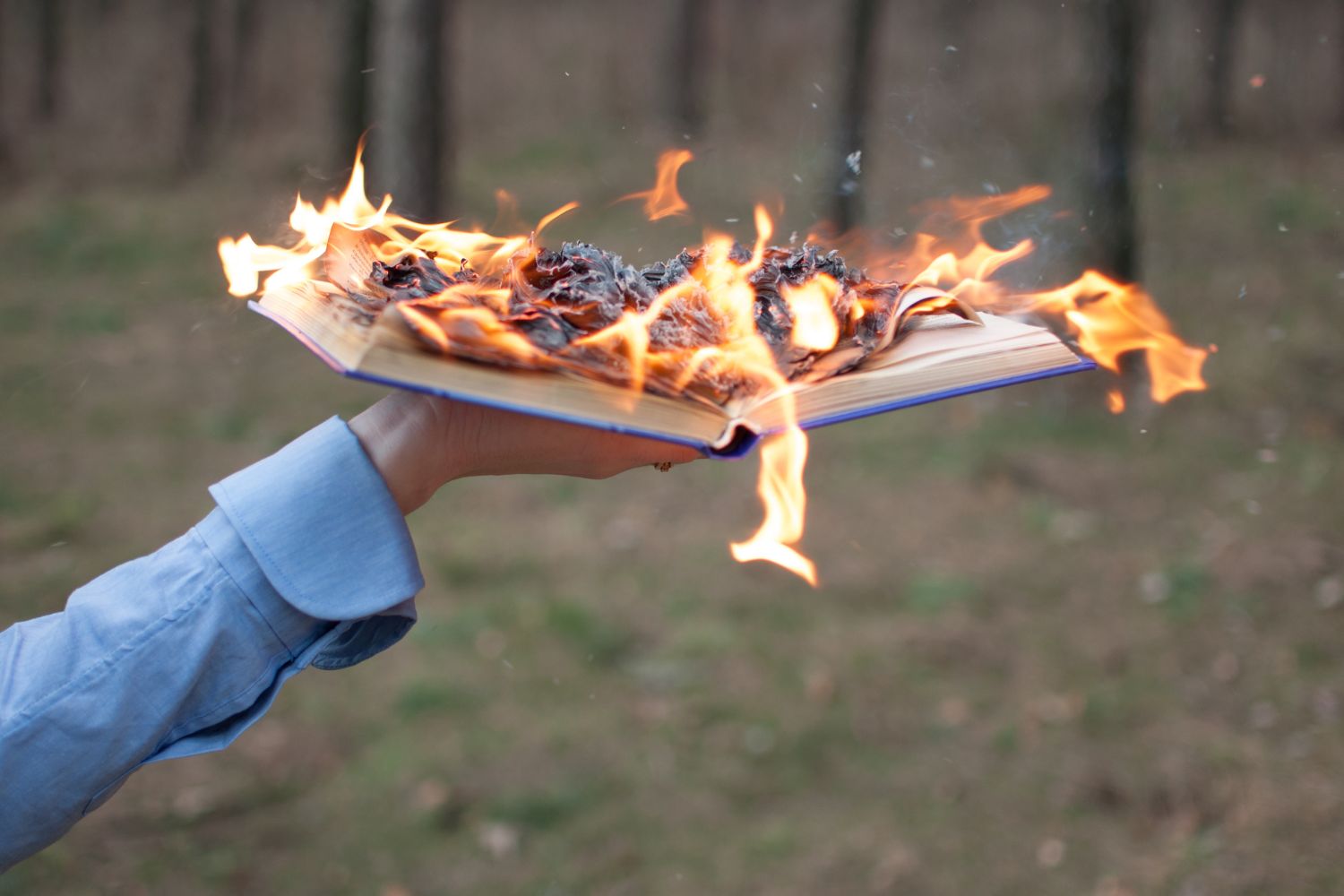 Livre Feu