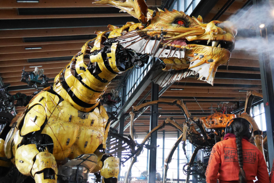 Long Ma fera son grand retour à Toulouse.