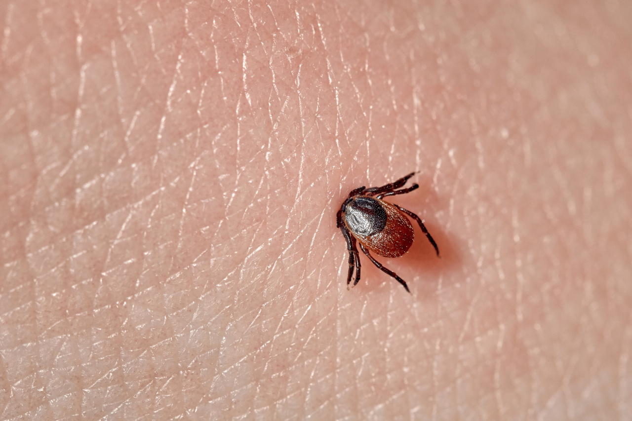cet antibiotique révolutionnaire qui pourrait tout changer