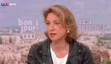 EN DIRECT - Travail le 1ᵉʳ mai : sur TF1, Marylise Léon, secrétaire générale de la CFDT, ne se montre "pas favorable"