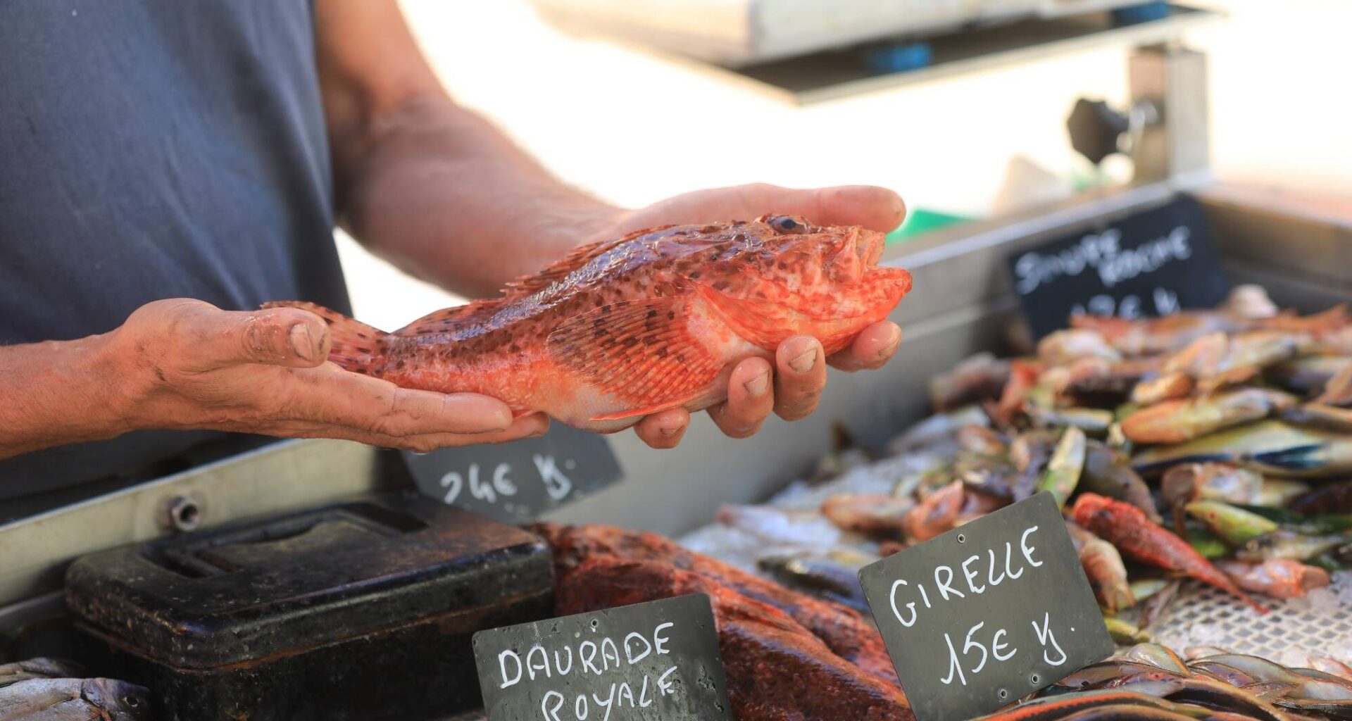 Manifestation des pêcheurs azuréens contre les normes européennes et nationales qui "mettent en danger la pêche artisanale"