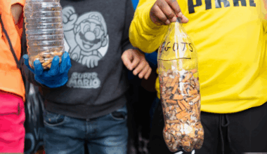 Participez au Mégothon de Roubaix
