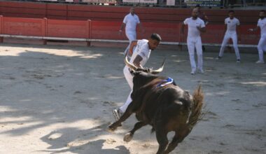 la deuxième journée des 3M à Merisier et Ziko Katif à Castries (Avenir)