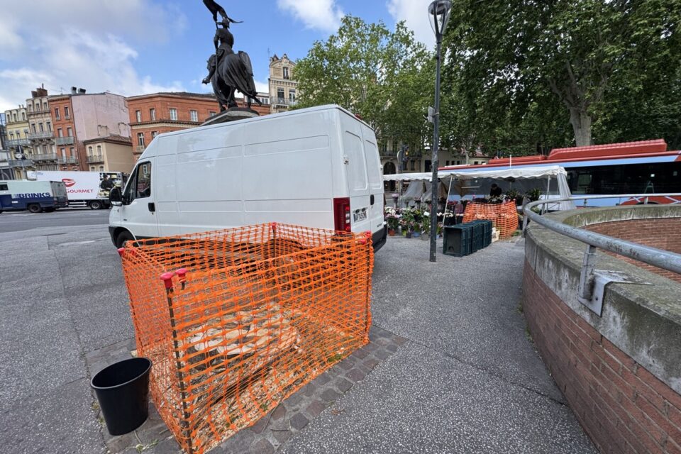 Une place dépourvue de ses deux arbres 