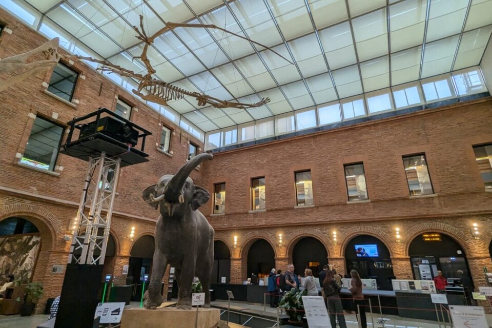 Des expos, des salons, des concerts, du théâtre, de la danse... Il y a de quoi faire ce week-end, à Toulouse ! 