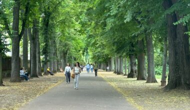 le parc de la Pépinière restera ouvert jusqu’à minuit tout cet été