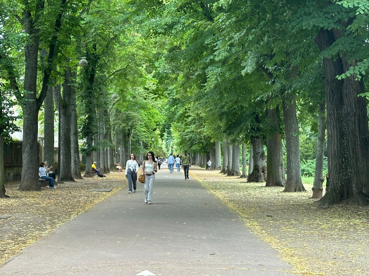 le parc de la Pépinière restera ouvert jusqu’à minuit tout cet été