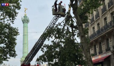 EN IMAGES - Pluie, grêle, rafales : l'Ile-de-France frappée par un impressionnant (et bref) orage
