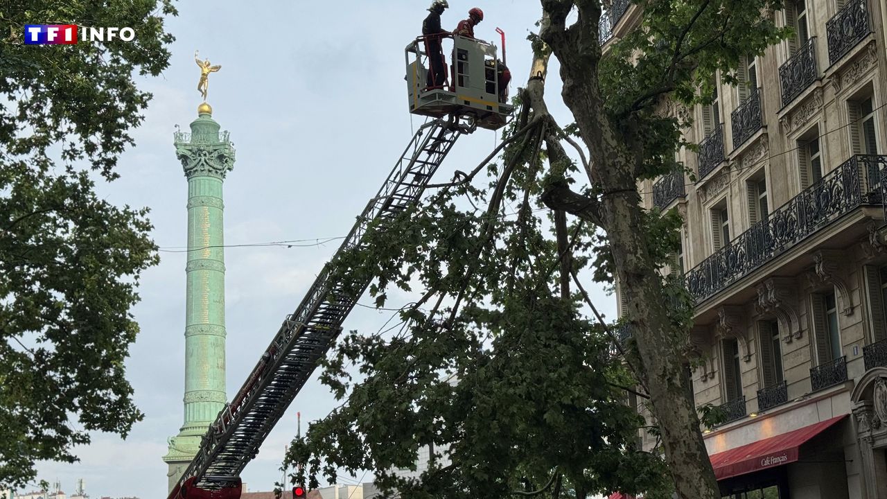 EN IMAGES - Pluie, grêle, rafales : l'Ile-de-France frappée par un impressionnant (et bref) orage