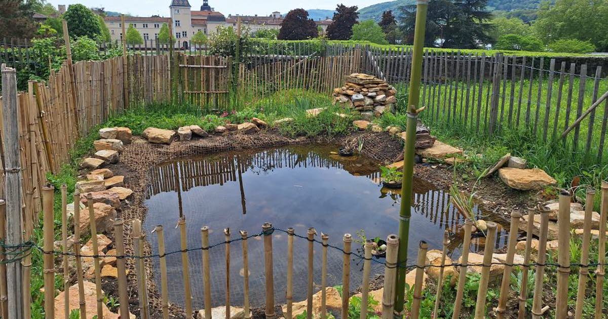 la Coopérative de la transition agit pour l’environnement