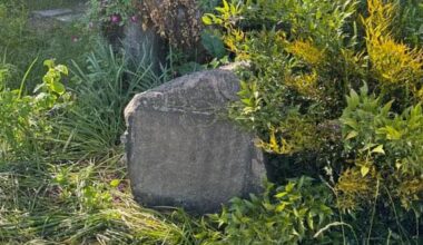 pourquoi cette plaque posée à l’occasion du 41e anniversaire de l’État d’Israël a-t-elle été « démontée »