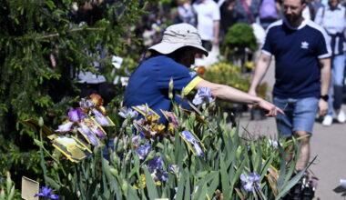 un village dédié aux jardins