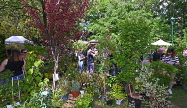 Meurthe-et-Moselle. Le parc Sainte-Marie de Nancy met la nature en fête