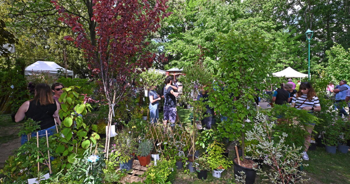 Meurthe-et-Moselle. Le parc Sainte-Marie de Nancy met la nature en fête