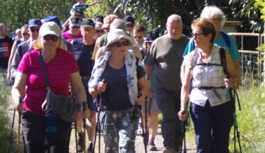 Toulon-sur-Arroux. Une randonnée des jacinthes en guise d’hommage