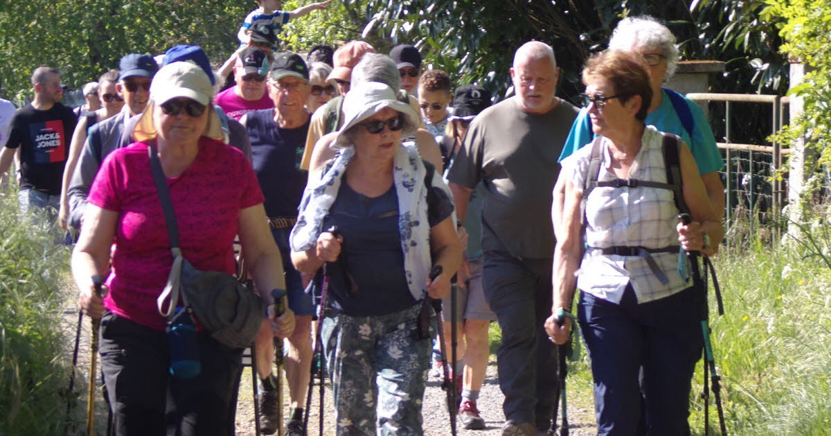 Toulon-sur-Arroux. Une randonnée des jacinthes en guise d’hommage