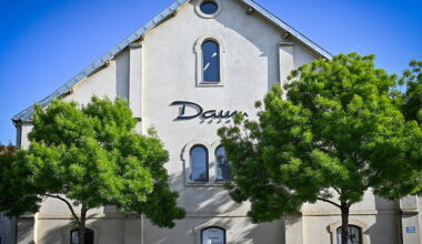 UNE NOUVELLE VENTE EXCEPTIONNELLE CHEZ DAUM