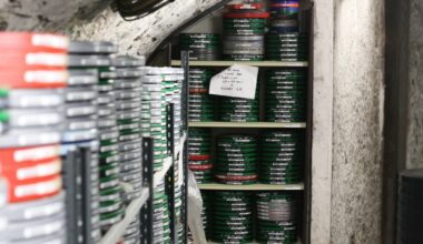 dans les coulisses des collections de la Cinémathèque