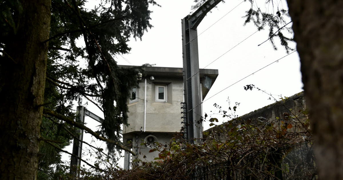 Loire. Interpellés pour avoir projeté un téléphone, du tabac et… un kiwi dans l’enceinte de la prison