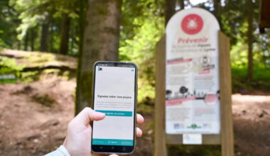 Vosges. Citique, un programme de recherche participative né à Nancy pour comprendre les tiques et leurs dangers