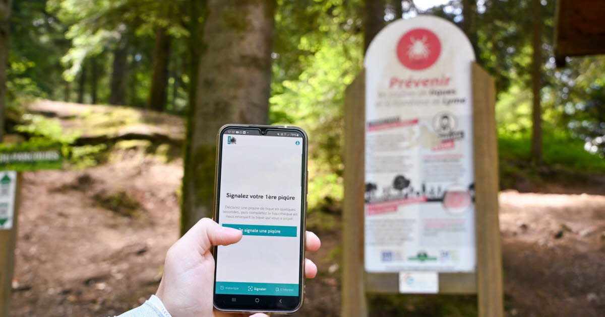 Vosges. Citique, un programme de recherche participative né à Nancy pour comprendre les tiques et leurs dangers
