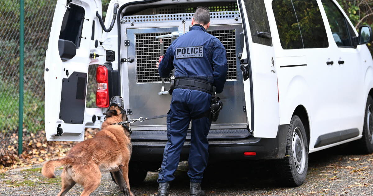 La Talaudière. Un conducteur interpellé alors qu’il tentait de fuir le contrôle des policiers