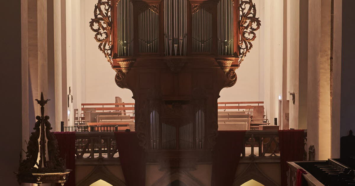Strasbourg. Une Nuit blanche dans l’église Saint-Guillaume de Strasbourg