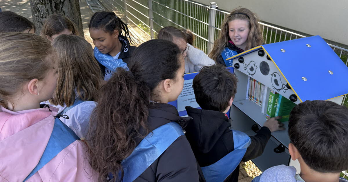 Sélestat. Les jeunes élus ont inauguré la boîte à livres