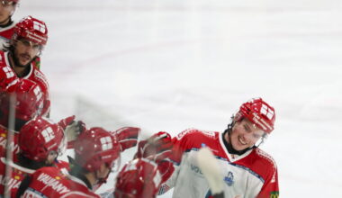 Hockey sur glace - Ligue Magnus. Des ex-Grenoblois signent en Ligue Magnus