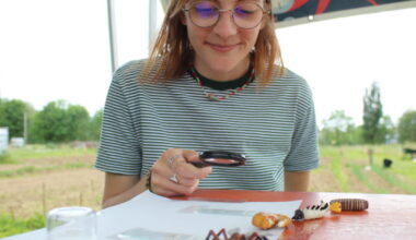 « Si le moustique tigre ne vient pas de chez vous, il vient du jardin de votre voisin » - Le Progrès
