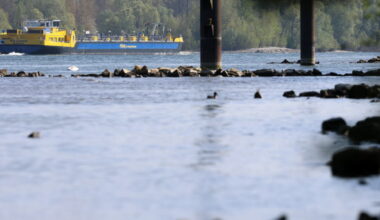 comment agir pour « protéger notre fleuve » ?