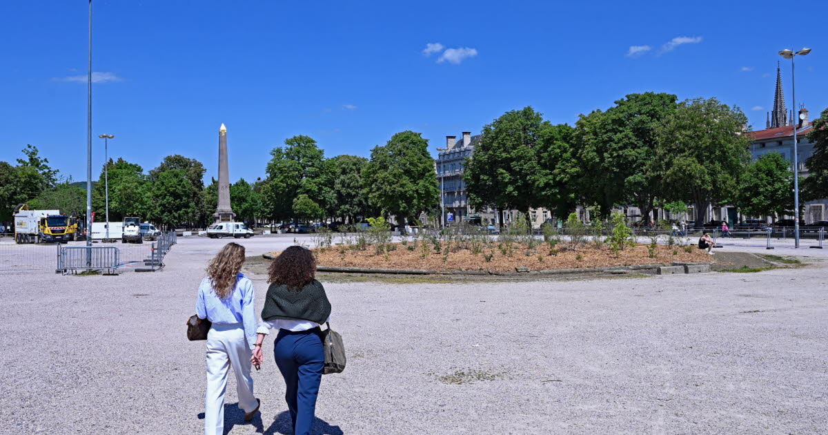 le prix à payer pour aménager le futur espace Carnot-Léopold