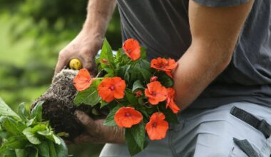 Villers-lès-Nancy. Devenez bénévole au jardin botanique