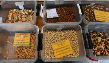 Lyon. Un week-end couleur café avec le Lyon Coffee Fest