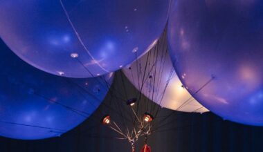 Strasbourg. Le Cirque du Soleil s’envole avec « Corteo » au Zénith