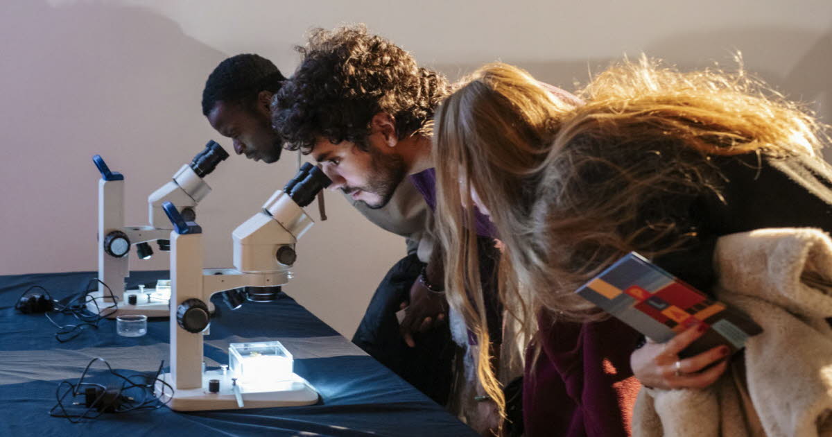 Nancy. Riche programme pour la nocturne du Muséum Aquarium ce samedi