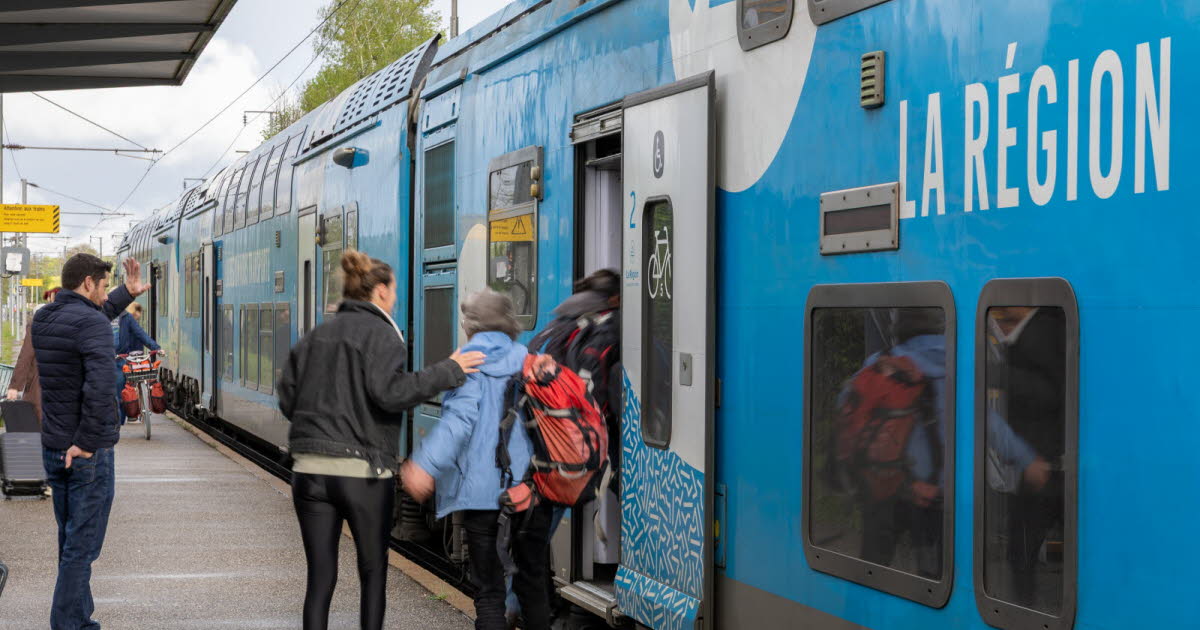 Train. Le trafic est totalement interrompu sur les lignes Lyon/Grenoble et Lyon/Chambéry 
