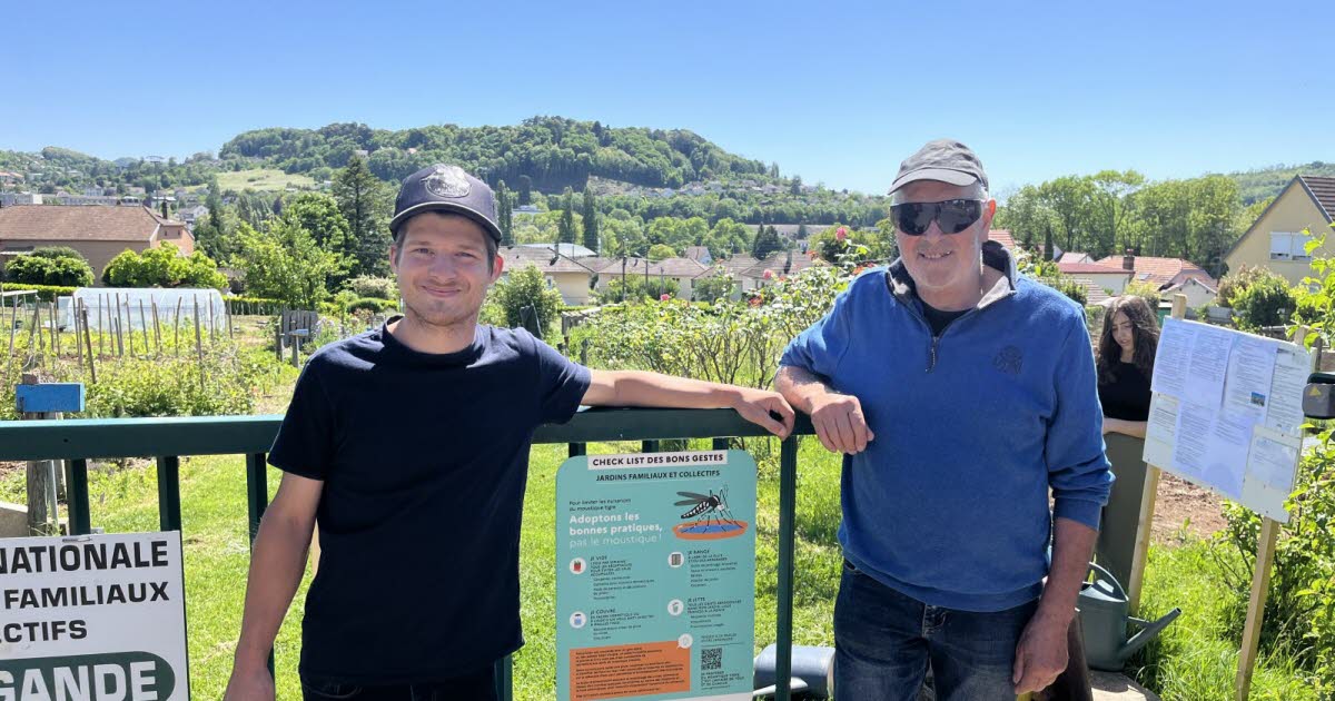 Jura. Après la colonisation, comment lutter contre le moustique tigre à Lons-le-Saunier - Le Progrès