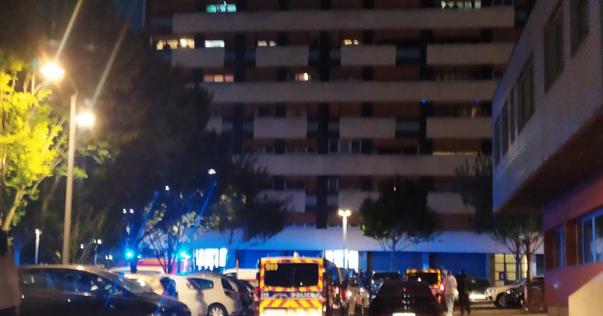 une femme meurt après une chute du 9e étage, son conjoint interpellé