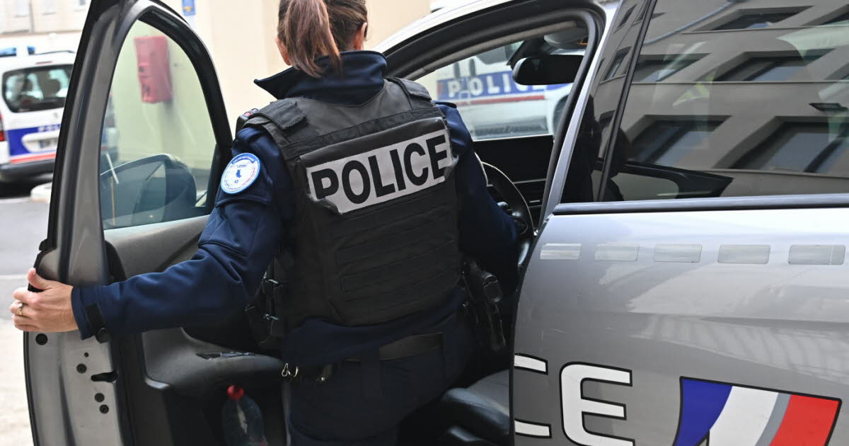 Saint-Etienne. Deux hommes interpellés après avoir volé un sac à main dans un bar