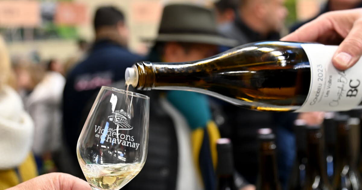 Grenoble. Le Marché des vins revient au Minimistan pour la deuxième édition