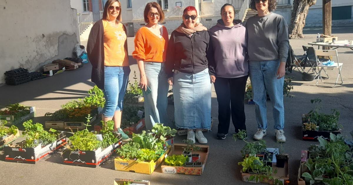 Saint-Romain-le-Puy. Après la vente de plants, place à la kermesse pour le Sou des écoles
