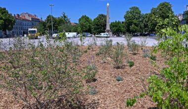 Nancy. Projet Carnot-Léopold : les « réserves » des Nancéiens