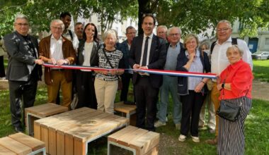Lyon 2e Arrondissement. Des bancs et des arbres pour la place de l’Hippodrome
