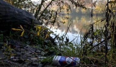 Lyon. Une marche de ramassage des déchets sauvages ce samedi à Lyon