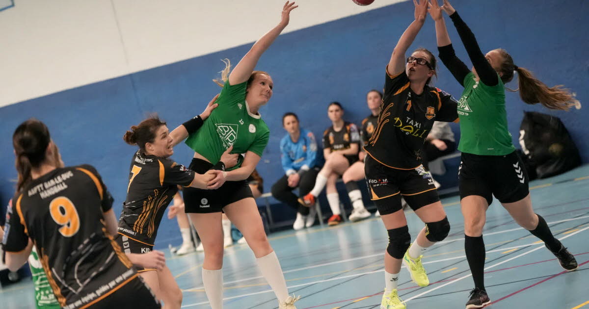 Handball. Le suspense demeure encore pour Flavigny/Fléville/Richardménil et le Nancy HB 3