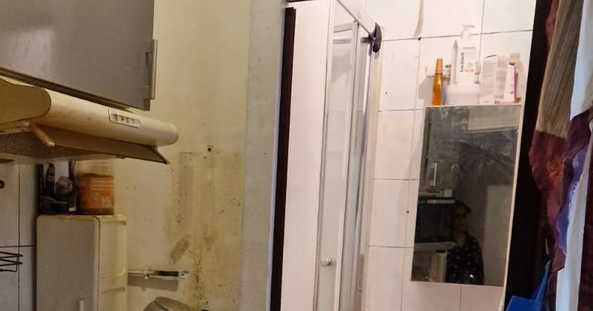 Strasbourg. Pour lutter contre l'habitat insalubre, un « permis de louer » bientôt expérimenté