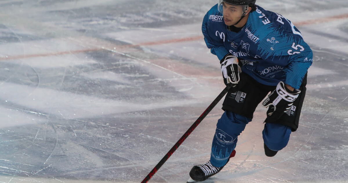Ligue Magnus. Un ancien joueur de Gap arrive la saison prochaine aux Brûleurs de Loups