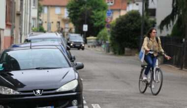 la rue de Saint-Dié se végétalise